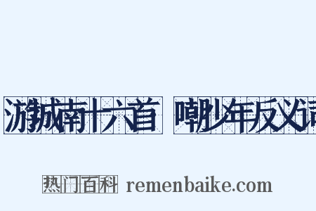 游城南十六首·嘲少年反义词是什么意思的图片